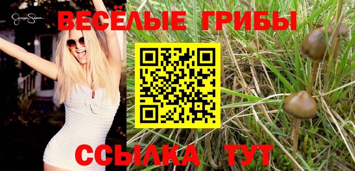 Псилоцибиновые грибы MAGIC MUSHROOMS  Галлюциногенные грибы Psilocybe  Вход с VPN  Ноябрьск 
