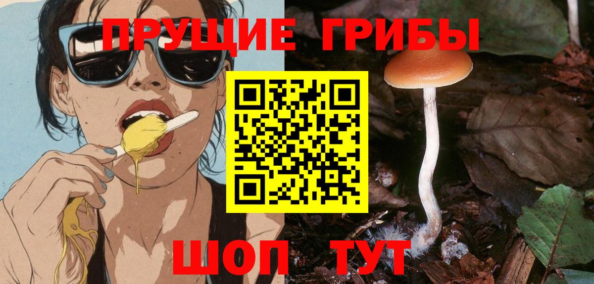 Псилоцибиновые грибы прущие грибы Ноябрьск